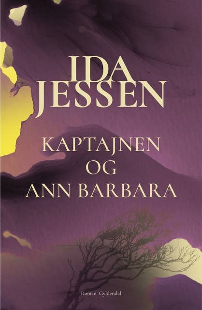 Cover for Kaptajnen og Ann Barbara