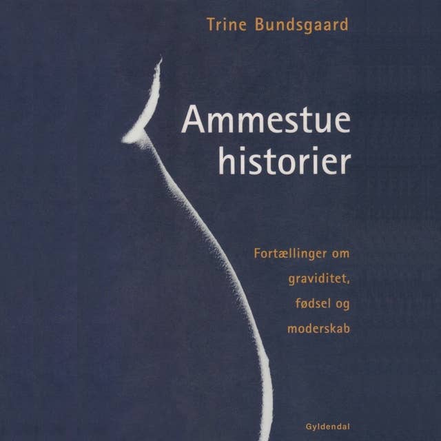 Ammestuehistorier: Fortællinger om graviditet, fødsel og moderskab