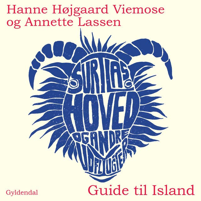 Surtlas hoved og andre udflugter: Guide til Island 