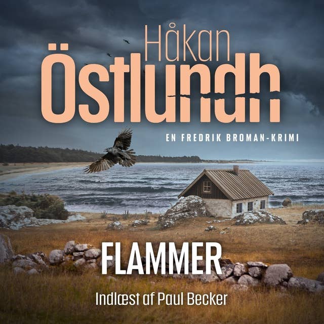 Fredrik Broman 3 - Flammer