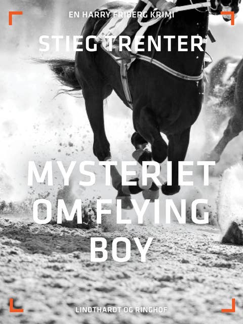 Mysteriet om Flying Boy