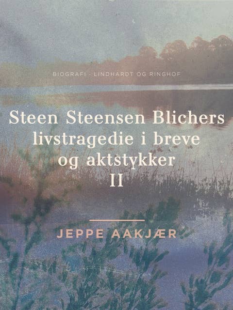 Steen Steensen Blichers livstragedie i breve og aktstykker 2