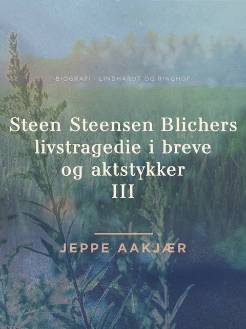 Steen Steensen Blichers livstragedie i breve og aktstykker 3