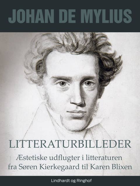 Litteraturbilleder: Æstetiske udflugter i litteraturen fra Søren Kierkegaard til Karen Blixen