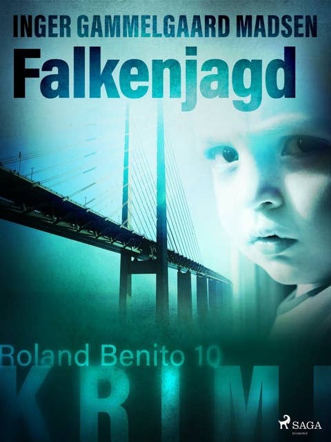 Falkenjagd - Roland Benito-Krimi 10