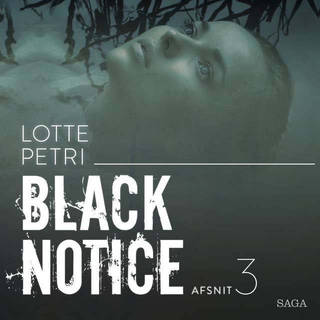Cover for Black notice: Afsnit 3