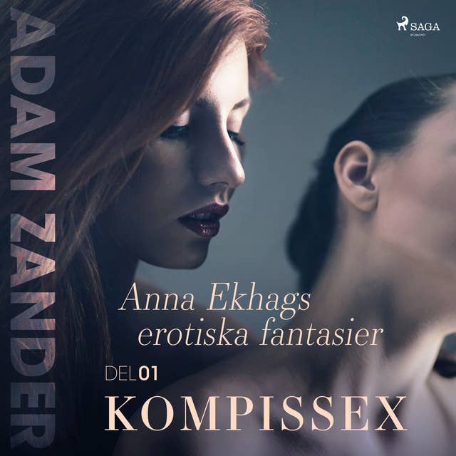 Cover for Kompissex - Anna Ekhags erotiska fantasier del 1