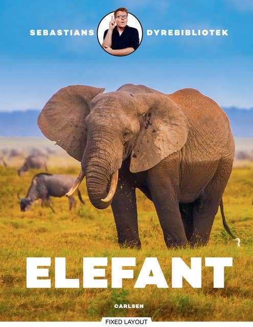 Sebastians dyrebibliotek: elefant