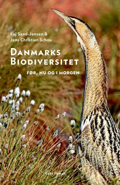 Danmarks biodiversitet: Før, nu og i morgen