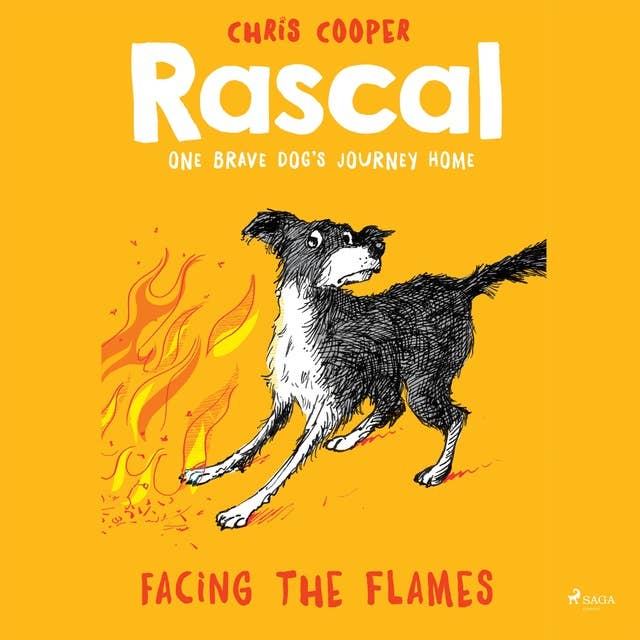 Facing the Flames - Rascal 4