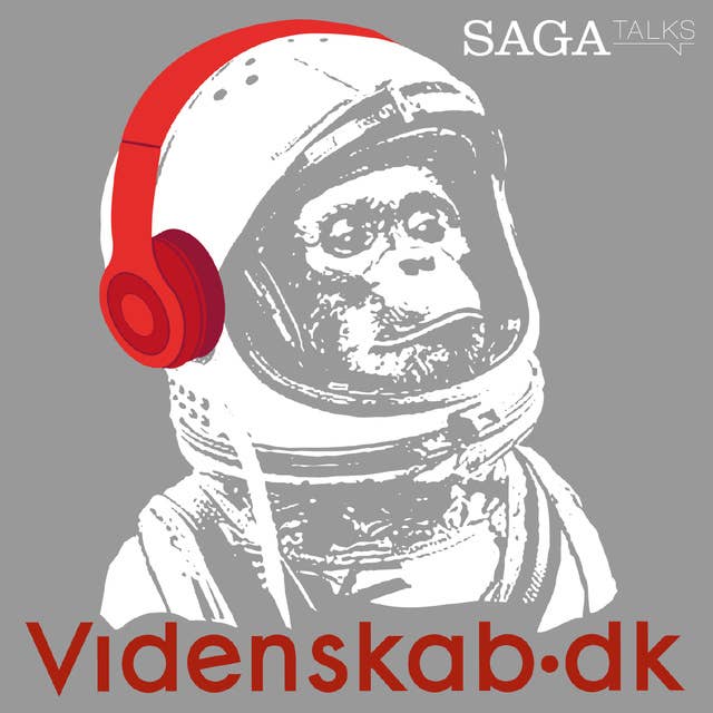 Videnskab.dk #10 - Dansk rumudstyr bidrager til året astronyhed