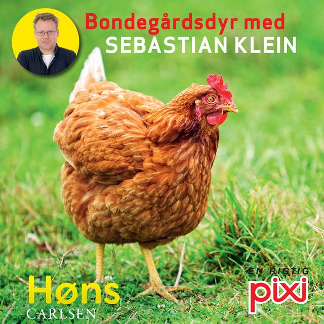 Bondegårdens dyr med Sebastian Klein: Høns
