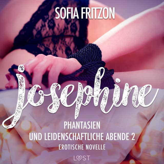 Josephine: Phantasien und leidenschaftliche Abende 2 - Erotische Novelle