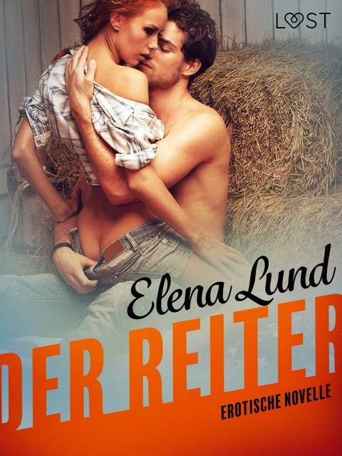 Cover for Der Reiter: Erotische Novelle