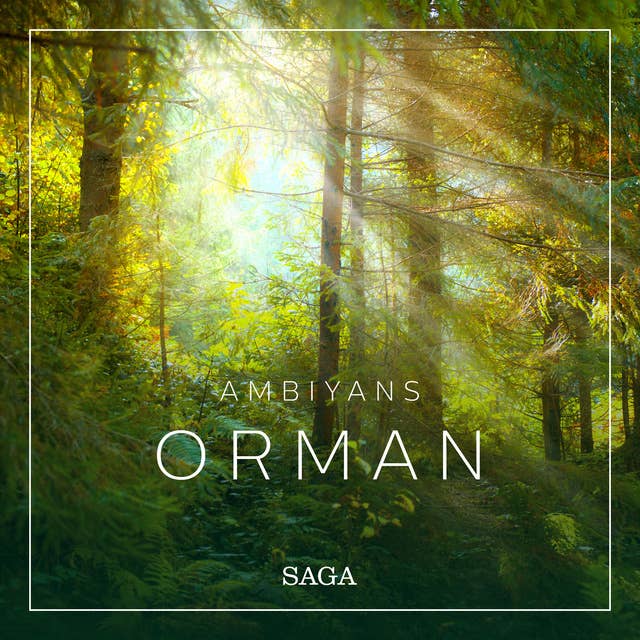 Ambiyans - Orman 