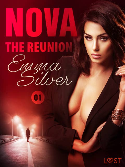 Nova 1: The Reunion - Erotic Short Story