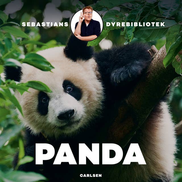Sebastians dyrebibliotek - Panda