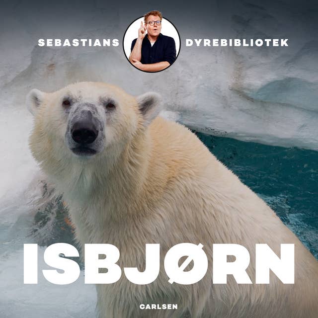 Sebastians dyrebibliotek - Isbjørn