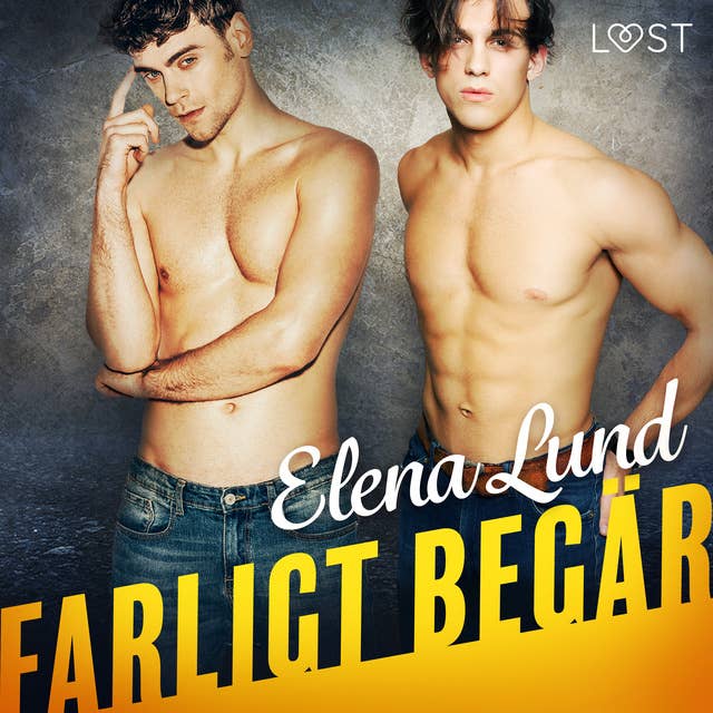 Cover for Farligt begär - erotisk novell