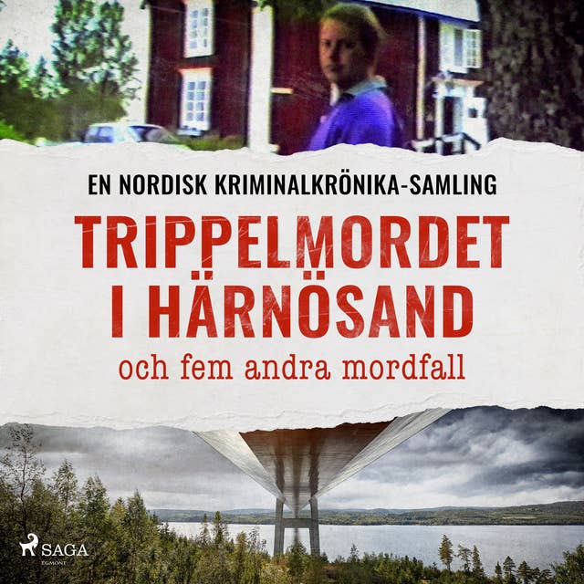 Cover for Trippelmordet i Härnösand, och fem andra mordfall