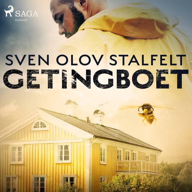 Cover for Getingboet