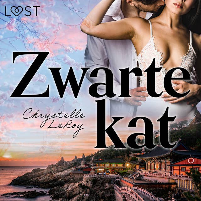 Cover for Zwarte kat – Erotisch verhaal