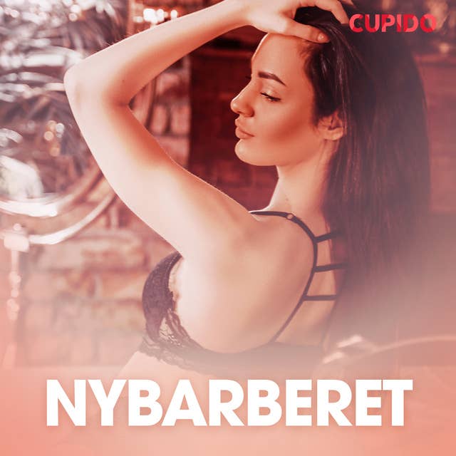 Cover for Nybarberet