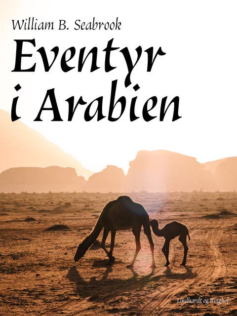 Eventyr i Arabien