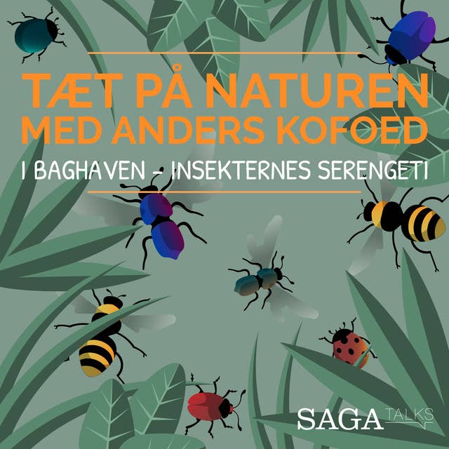 I baghaven - Insekternes Serengeti