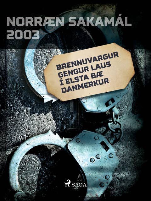Cover for Brennuvargur gengur laus í elsta bæ Danmerkur