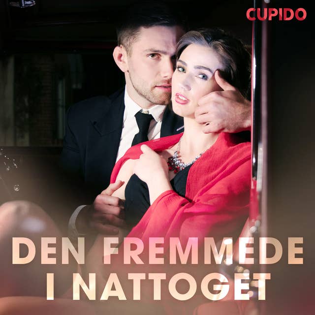 Den fremmede i nattoget