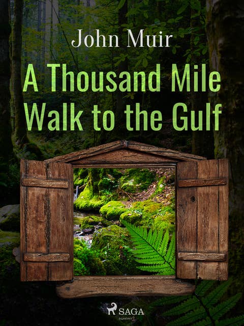 A Thousand Mile Walk to the Gulf