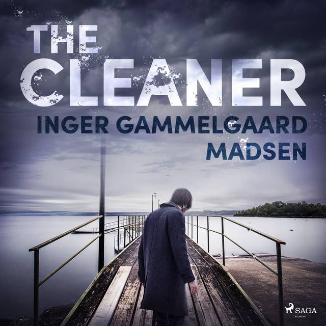 Cover for The Cleaner