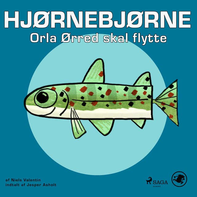 Cover for Hjørnebjørne 15 - Orla Ørred skal flytte