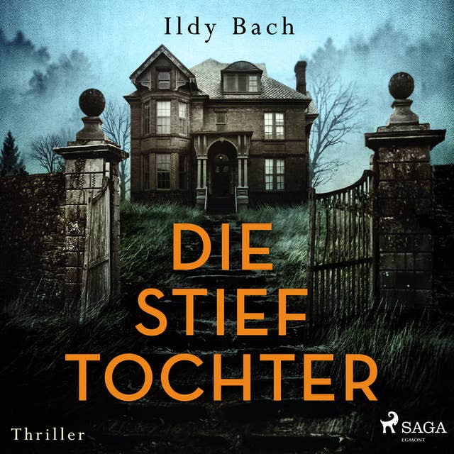 Cover for Die Stieftochter