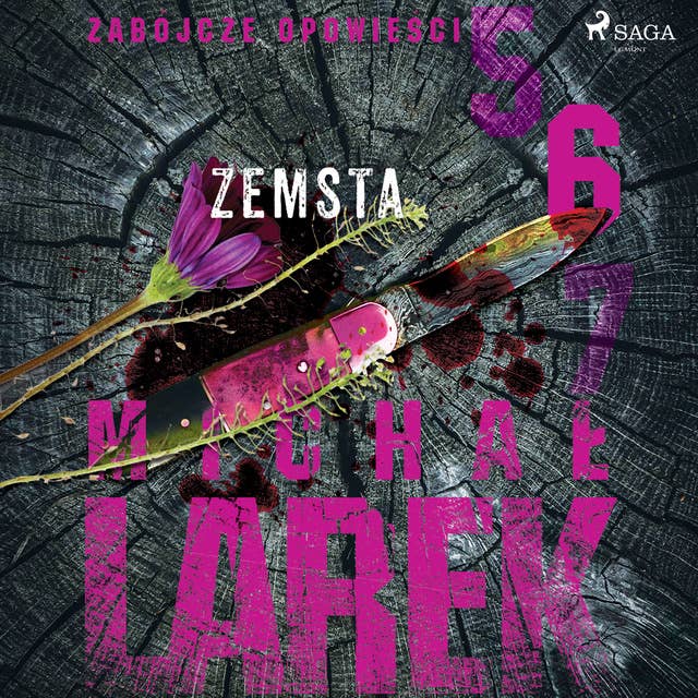 Cover for Zabójcze opowieści 6: Zemsta