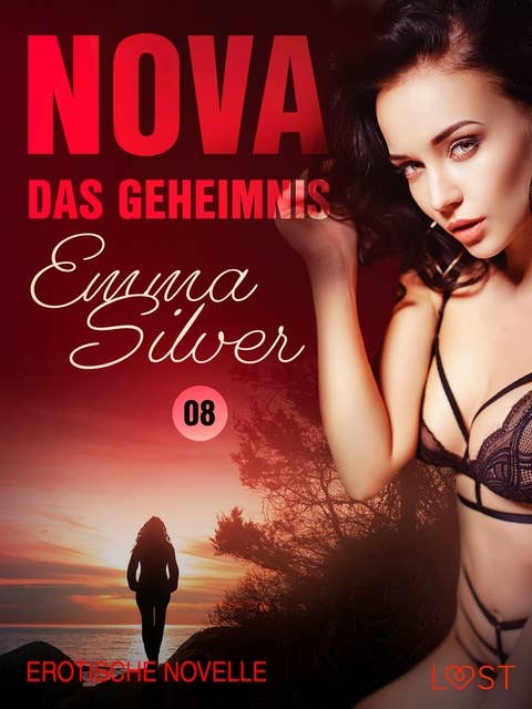 Nova 8: Das Geheimnis – Erotische Novelle