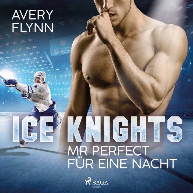 Ice Knights: Mr Perfect für eine Nacht