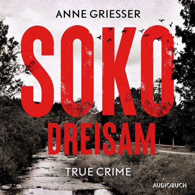 SOKO Dreisam: Der Mordfall, die Hintergründe und der Prozess des Hussein K.