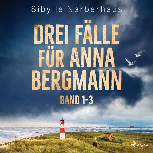Drei Fälle für Anna Bergmann (Band 1-3)