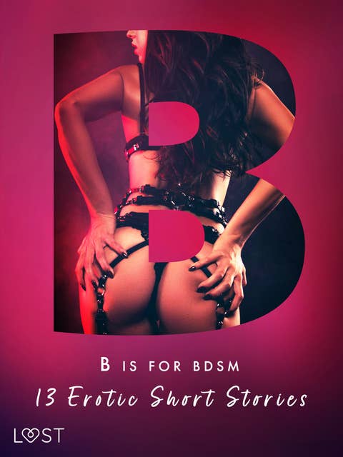 B is for BDSM: 13 Erotic Short Stories