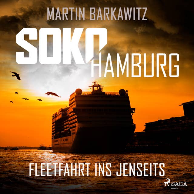 SoKo Hamburg: Fleetfahrt ins Jenseits (Ein Fall für Heike Stein, Band 3): SoKo Hamburg - Ein Fall für Heike Stein 3. Fleetfahrt ins Jenseits