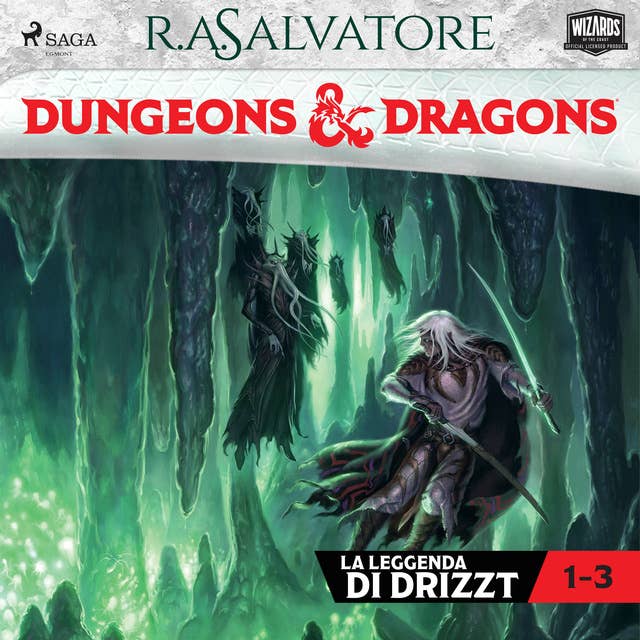 Dungeons & Dragons: Trilogia degli elfi scuri 