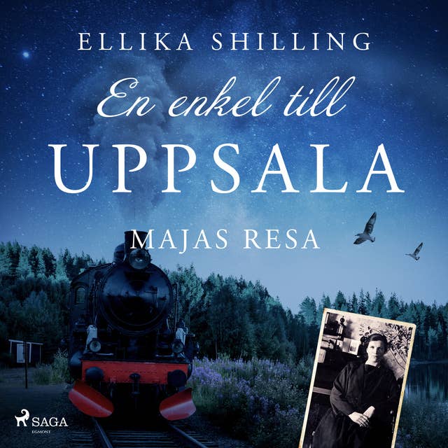 En enkel till Uppsala: Majas resa