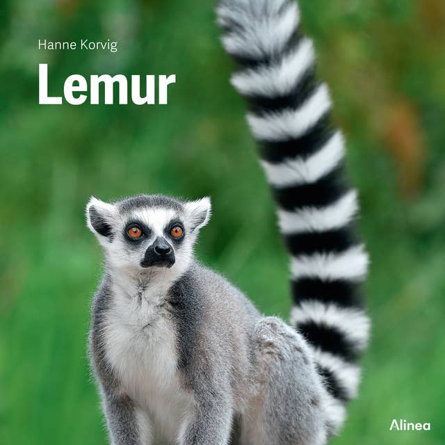 Lemur, Grøn Fagklub