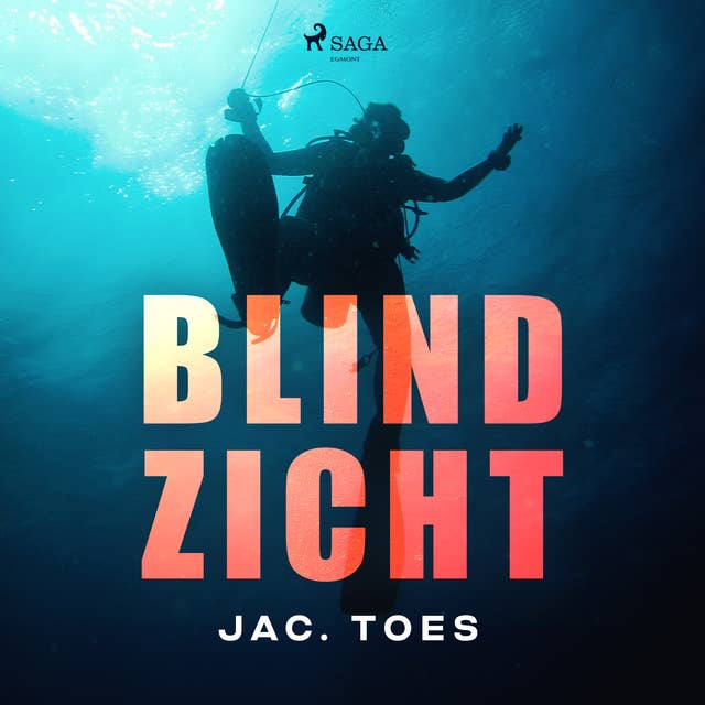 Blind zicht 