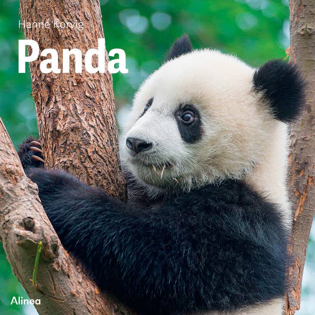 Panda, Grøn Fagklub