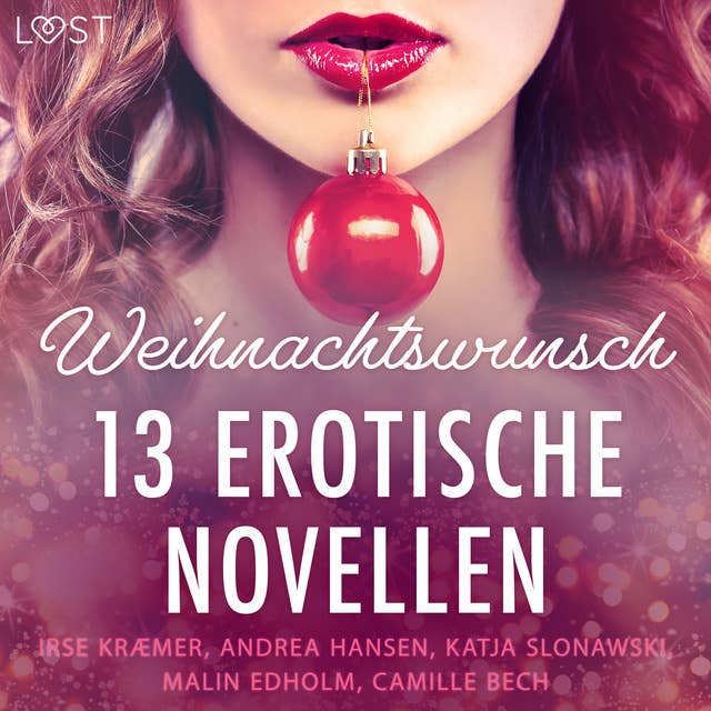 Weihnachtswunsch: 13 erotische Novellen