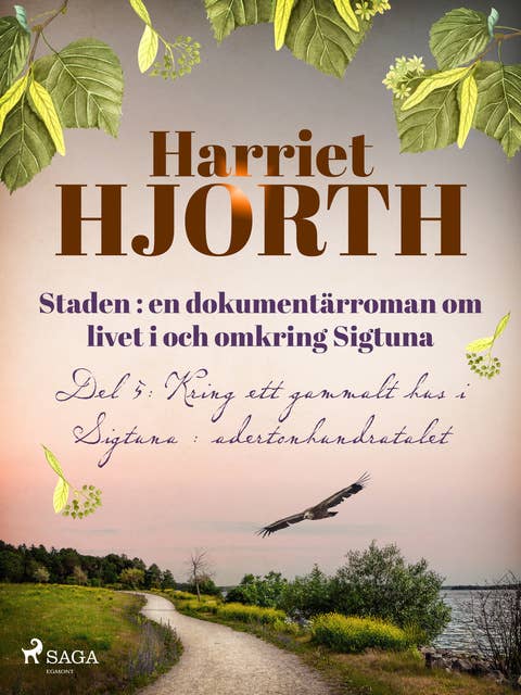 Cover for Staden : en dokumentärroman om livet i och omkring Sigtuna