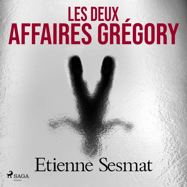 Les Deux Affaires Grégory 